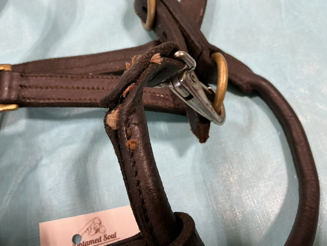 Halter Brown Leather