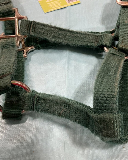 Halter Nylon Green Wealing