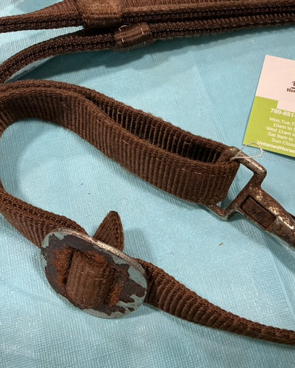 Western Tie Down Nylon Brown