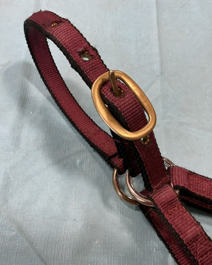 Halter Nylon Burgundy Foal