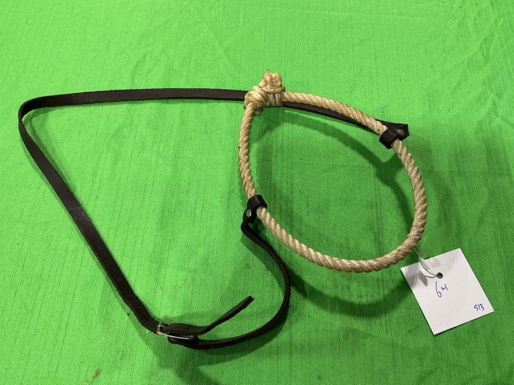 Tie Down Lariet Small Nose #2