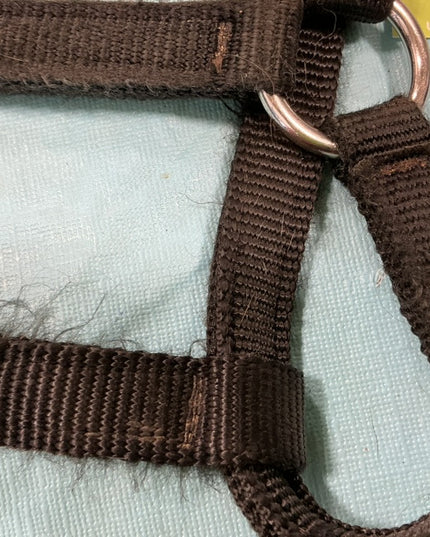 Halter Black Nylon Weanling