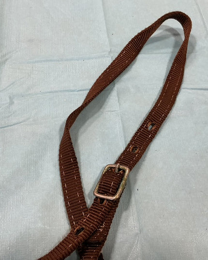 Western Tie Down Nylon Brown