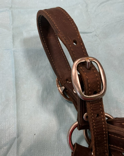 Halter Leather Show Brown/Silver