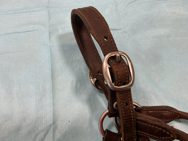 Halter Leather Show Brown/Silver