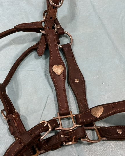Halter Leather Show Brown/Silver
