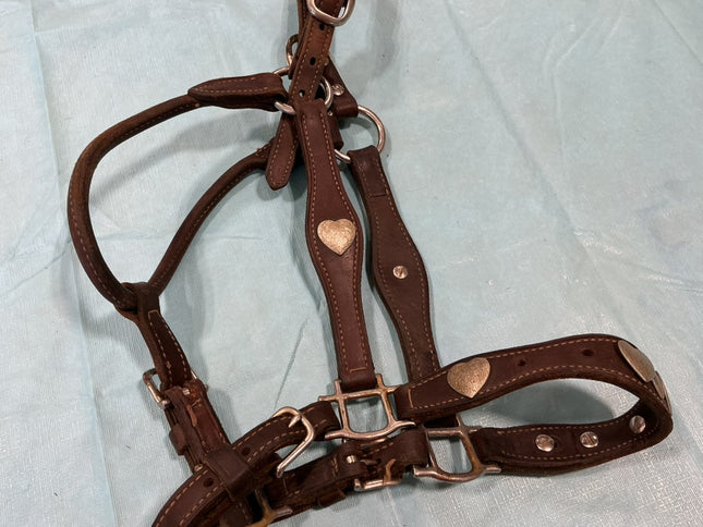 Halter Leather Show Brown/Silver