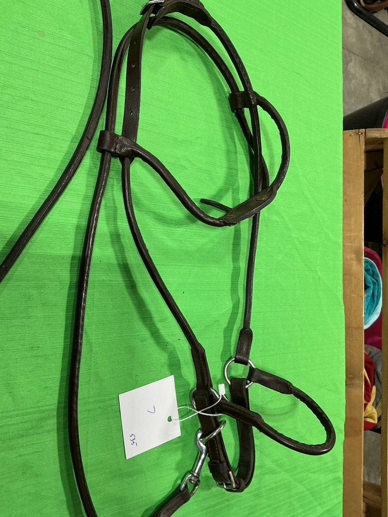 Halter Show Leather Small
