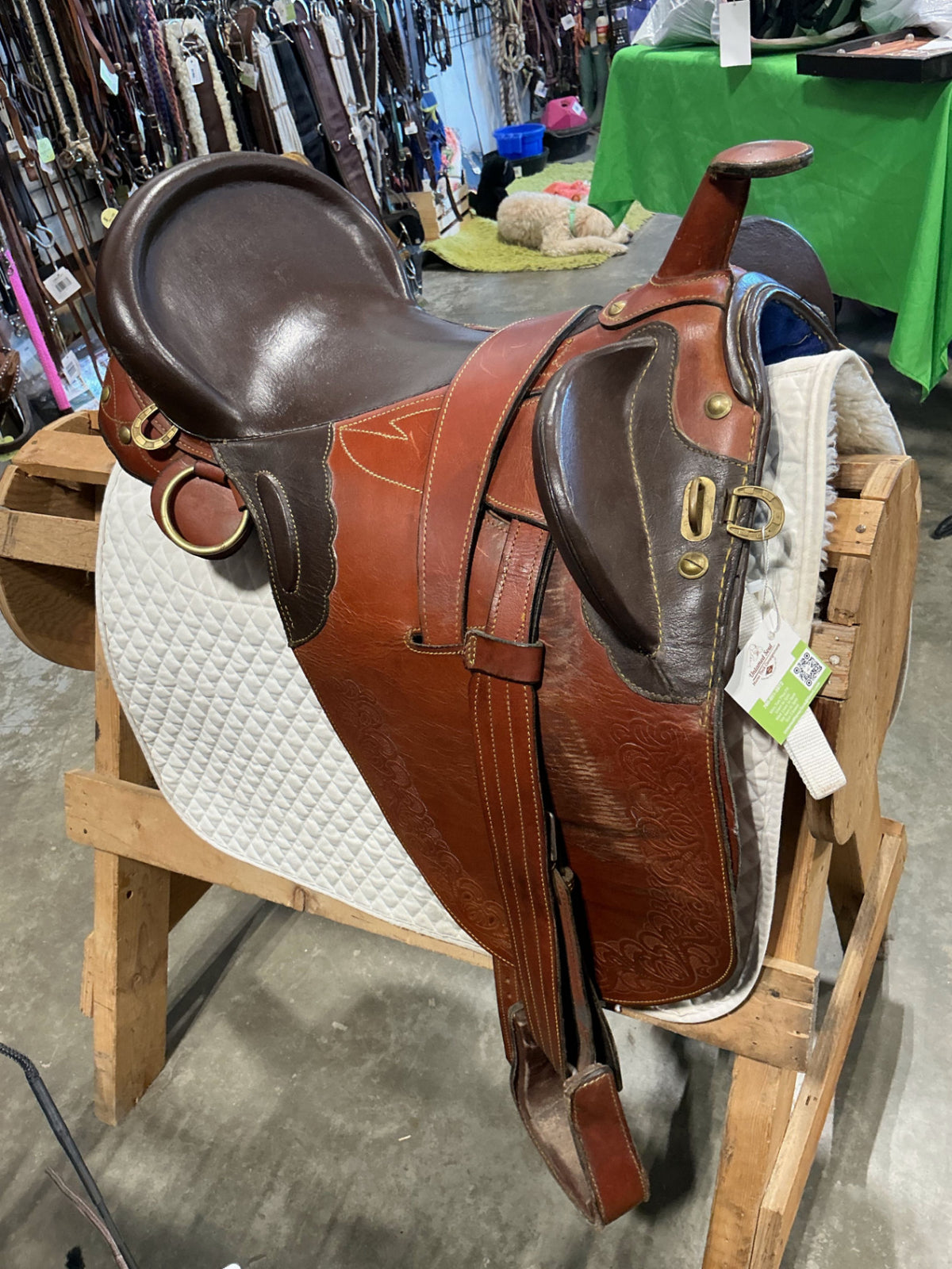 Australian Saddle Brown