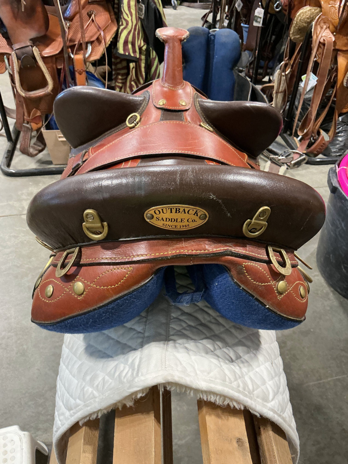 Australian Saddle Brown