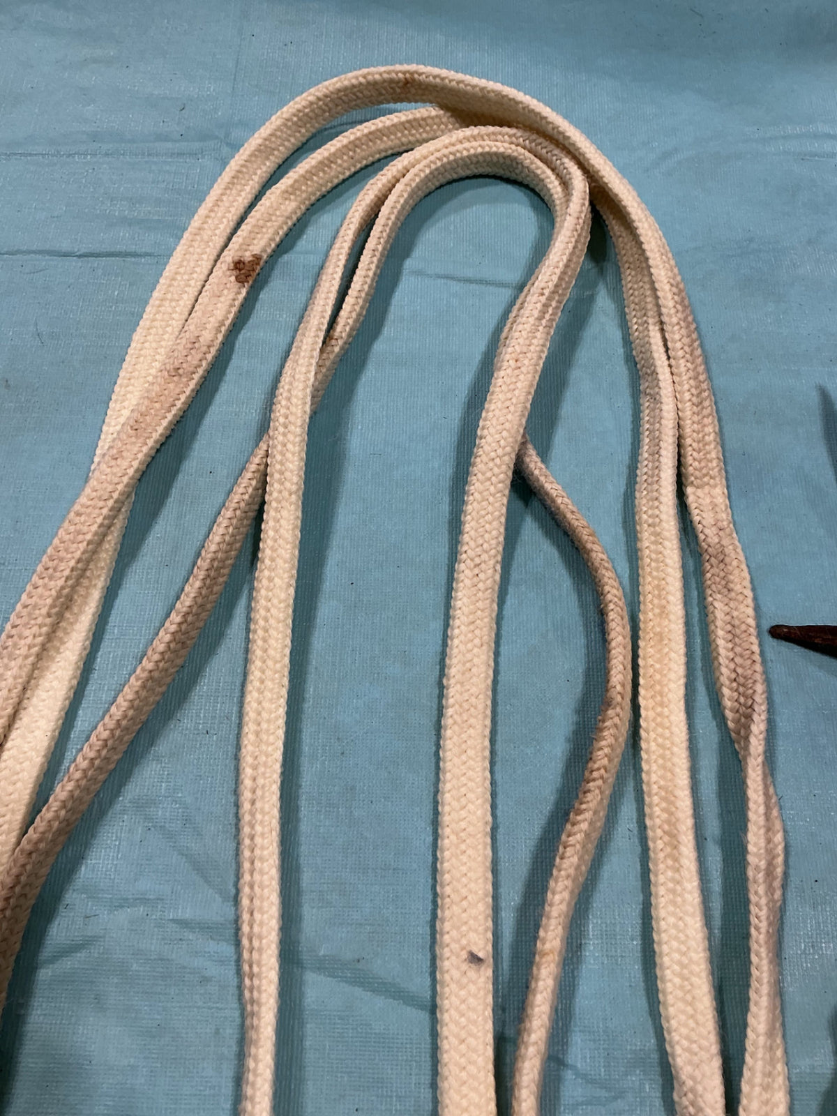 Western Reins White Nylon Leather Ends