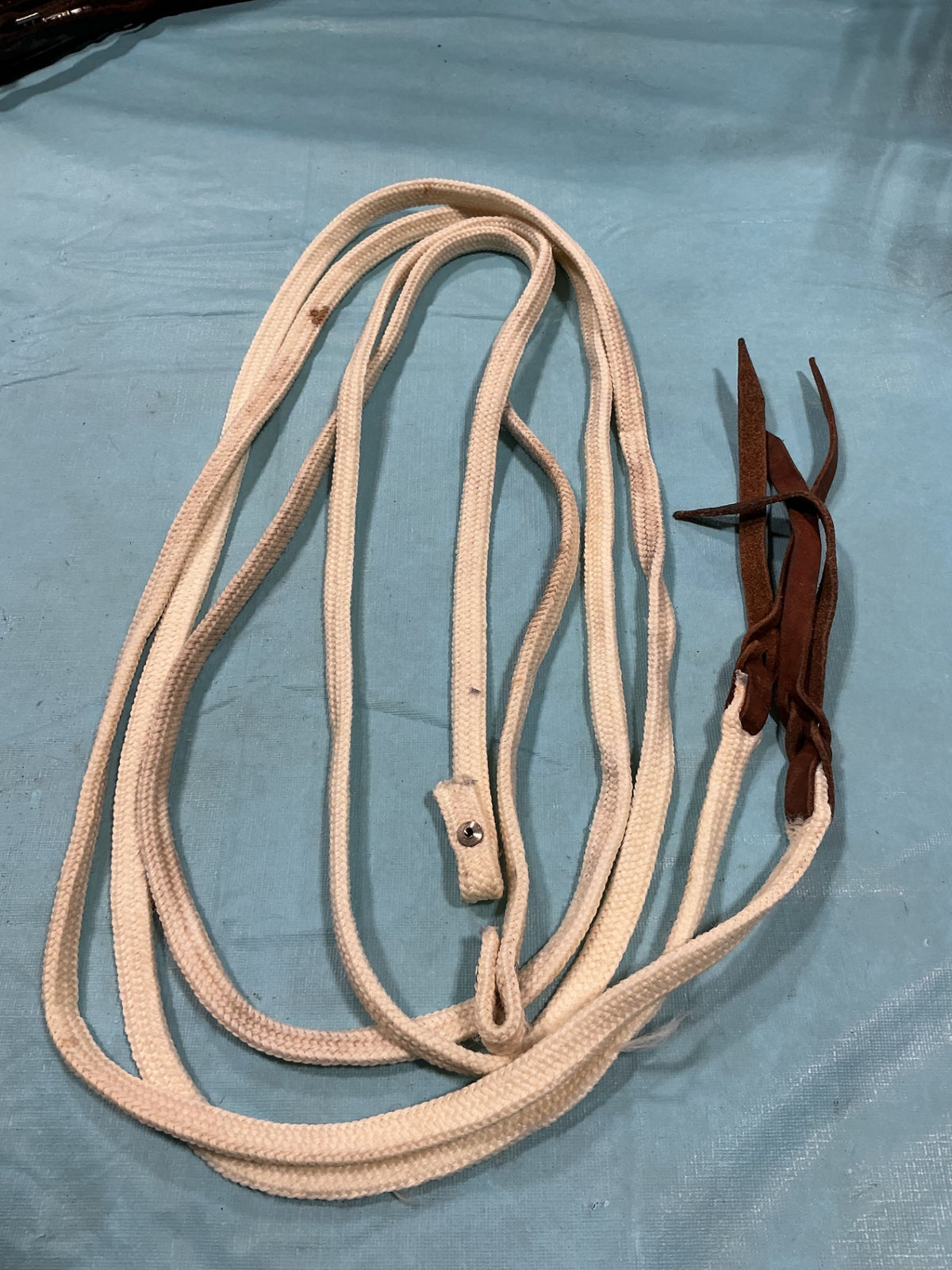 Western Reins White Nylon Leather Ends