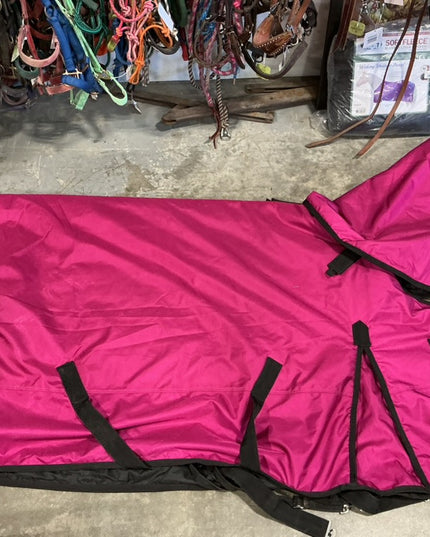 Winter Coat 76" 300G Equine Lifestyle Pink 