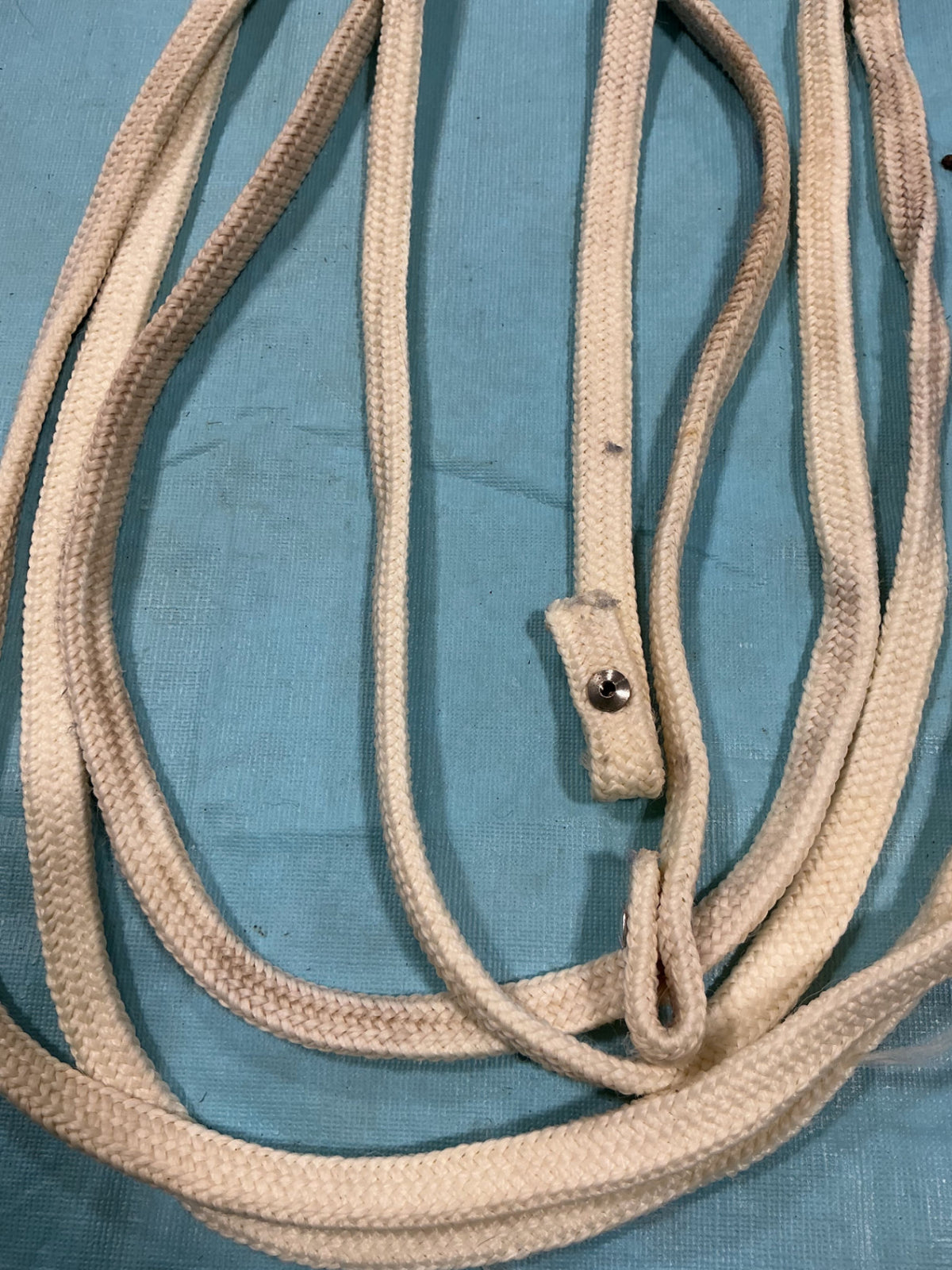Western Reins White Nylon Leather Ends