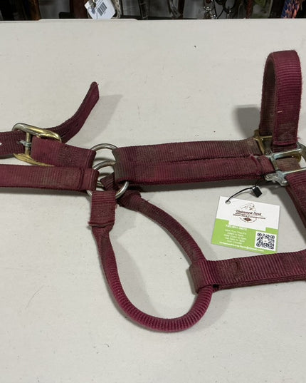 Halter Nylon Red 