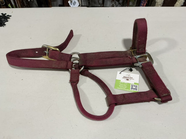 Halter Nylon Red