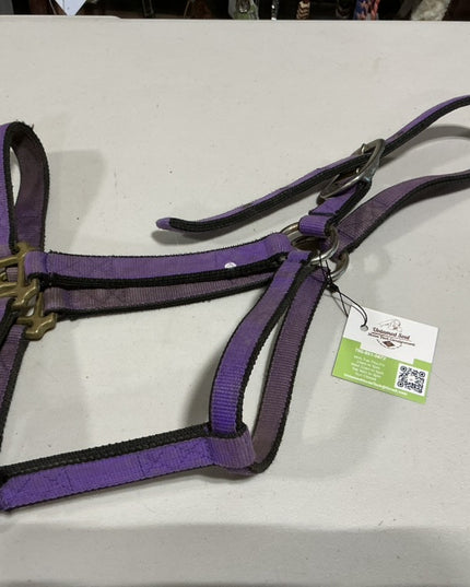 Halter Nylon Purple Average 