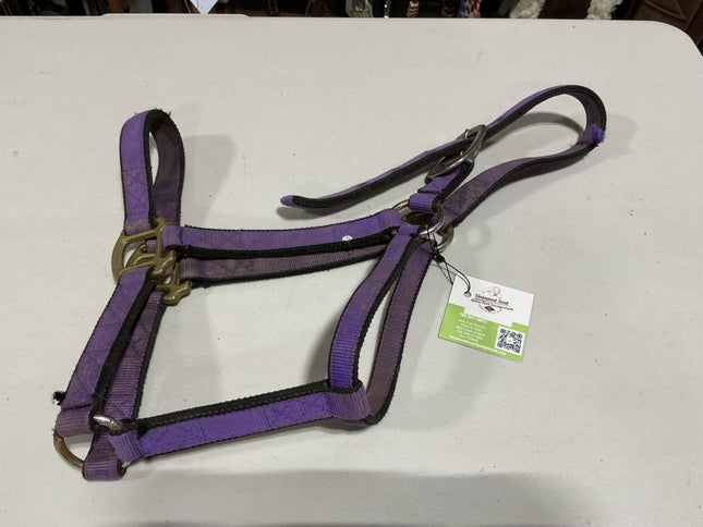 Halter Nylon Purple Average 