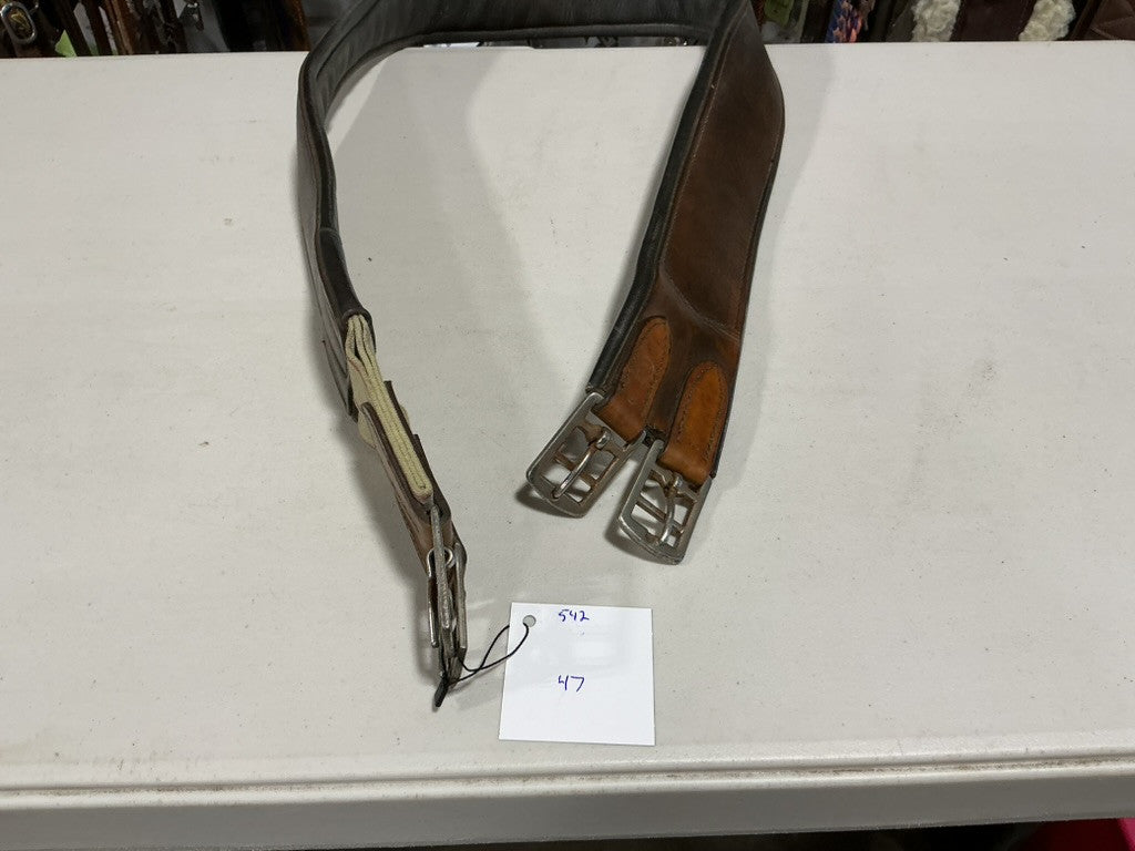 English Girth 52"
