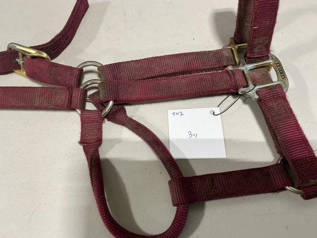 Halter Nylon Red