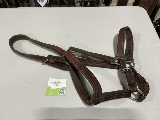 Halter Leather 