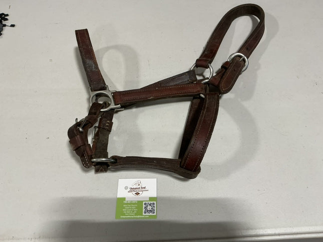 Halter Leather 