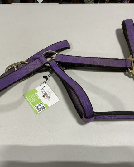 Halter Nylon Purple Average 