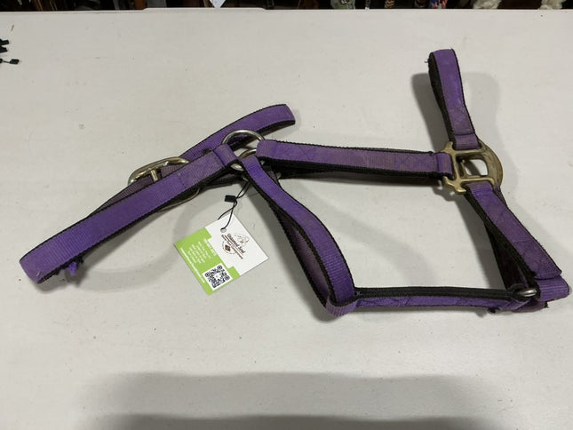 Halter Nylon Purple Average 