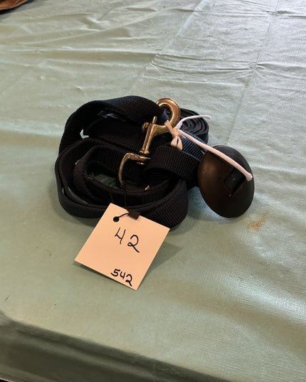 Lunge Line Nylon Blue 