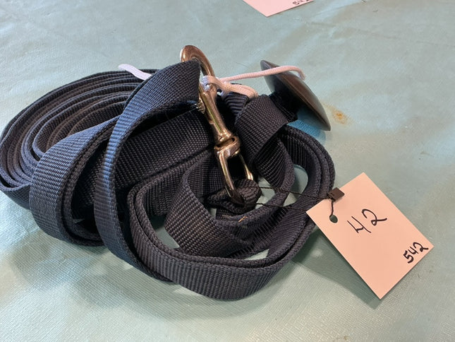 Lunge Line Nylon Blue 
