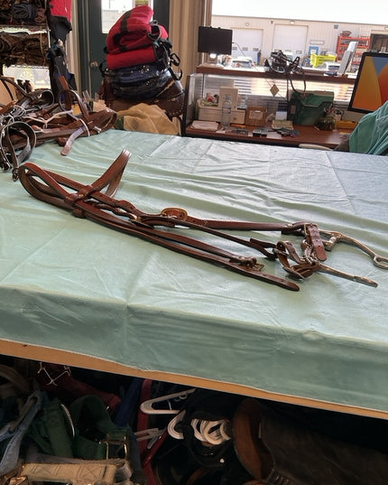 Western Headstall & Correction Bit 