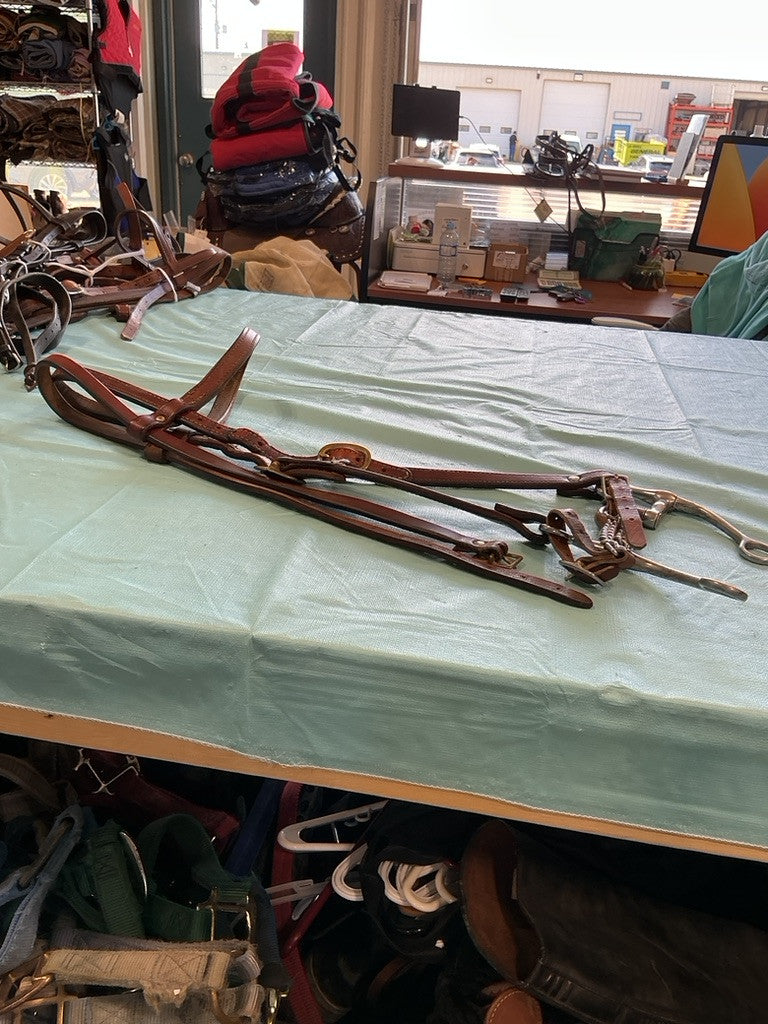 Western Headstall & Correction Bit