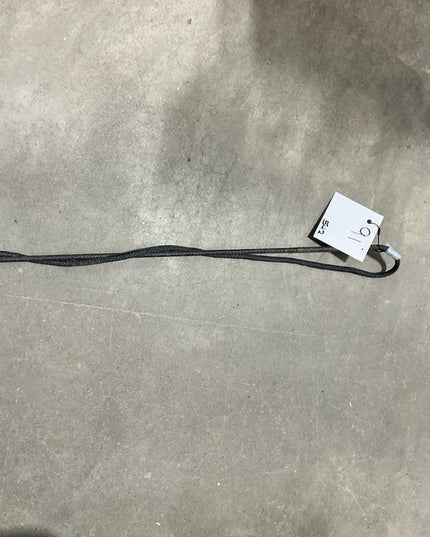 Lunge Whip