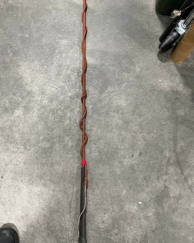 Lunge whip Brown