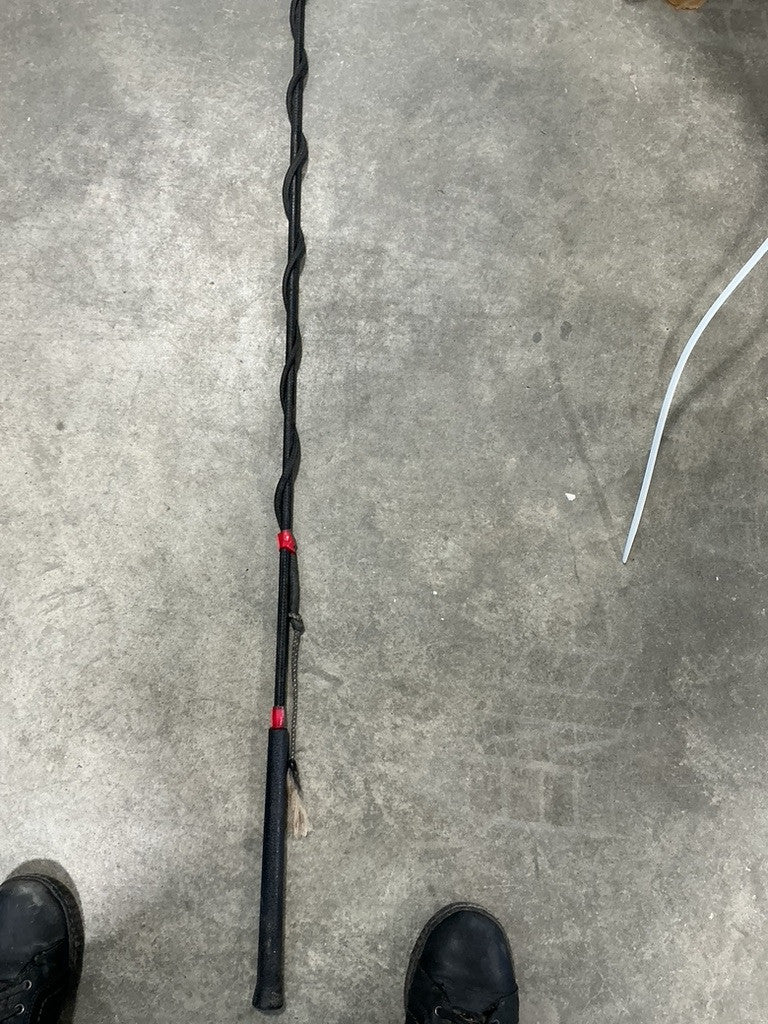 Lunge Whip Black 