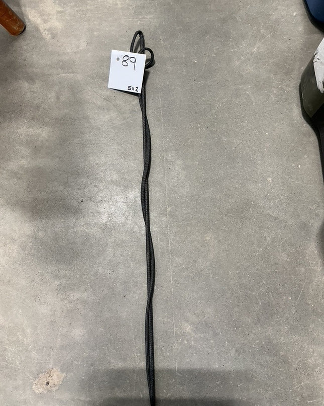 Lunge Whip Black 