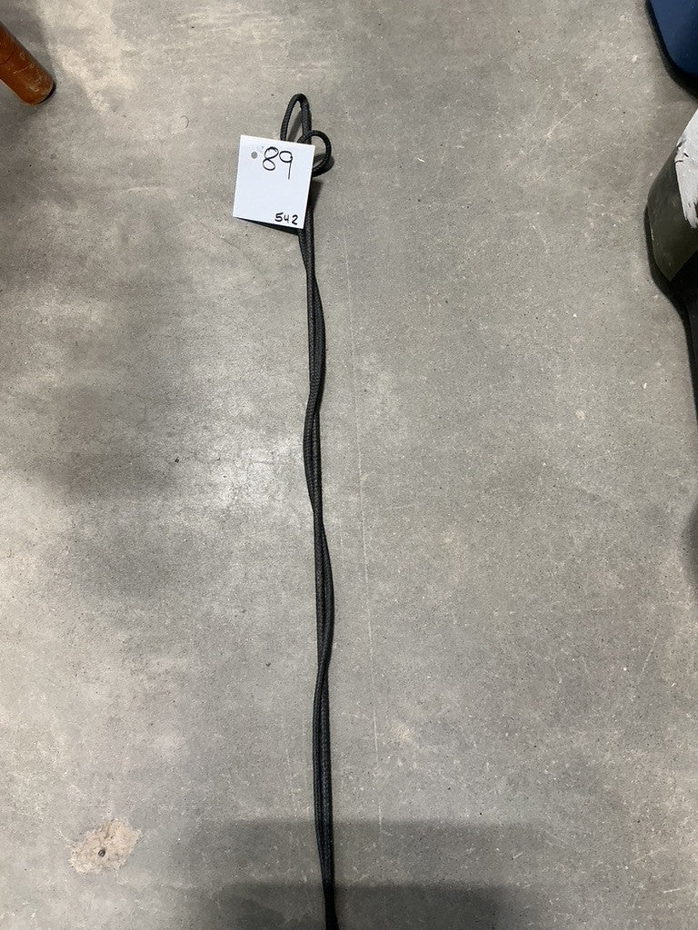 Lunge Whip Black 