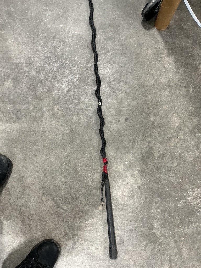 Lunge Whip Black #2