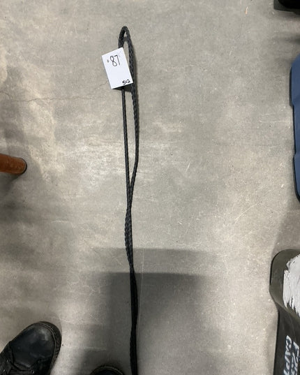 Lunge Whip Black #2