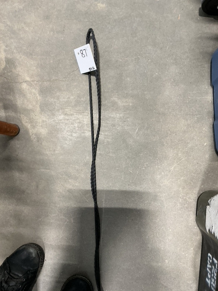 Lunge Whip Black #2