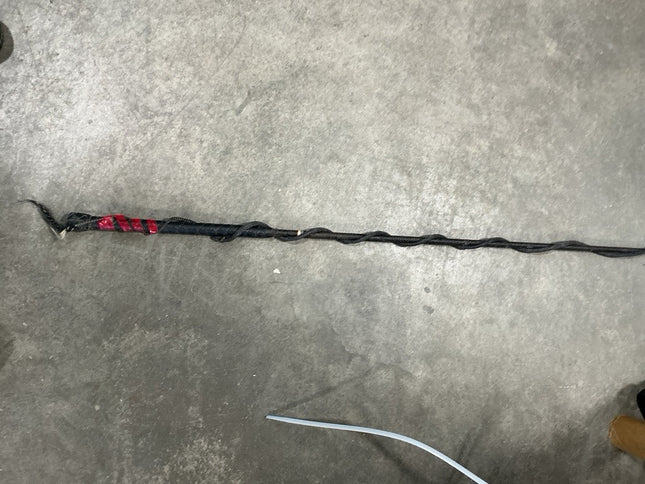 Lunge Whip