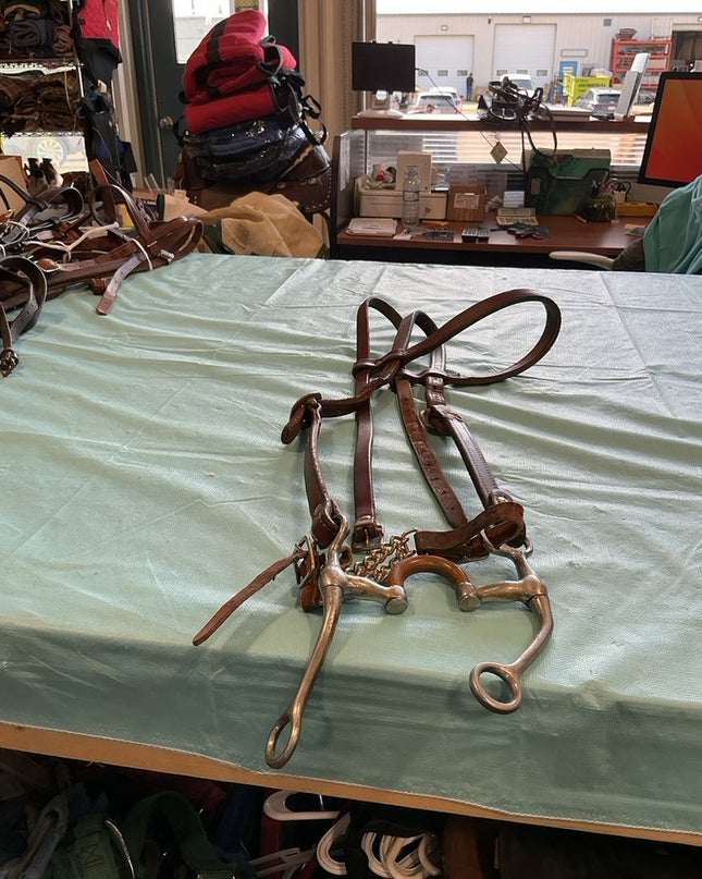 Western Headstall & Correction Bit
