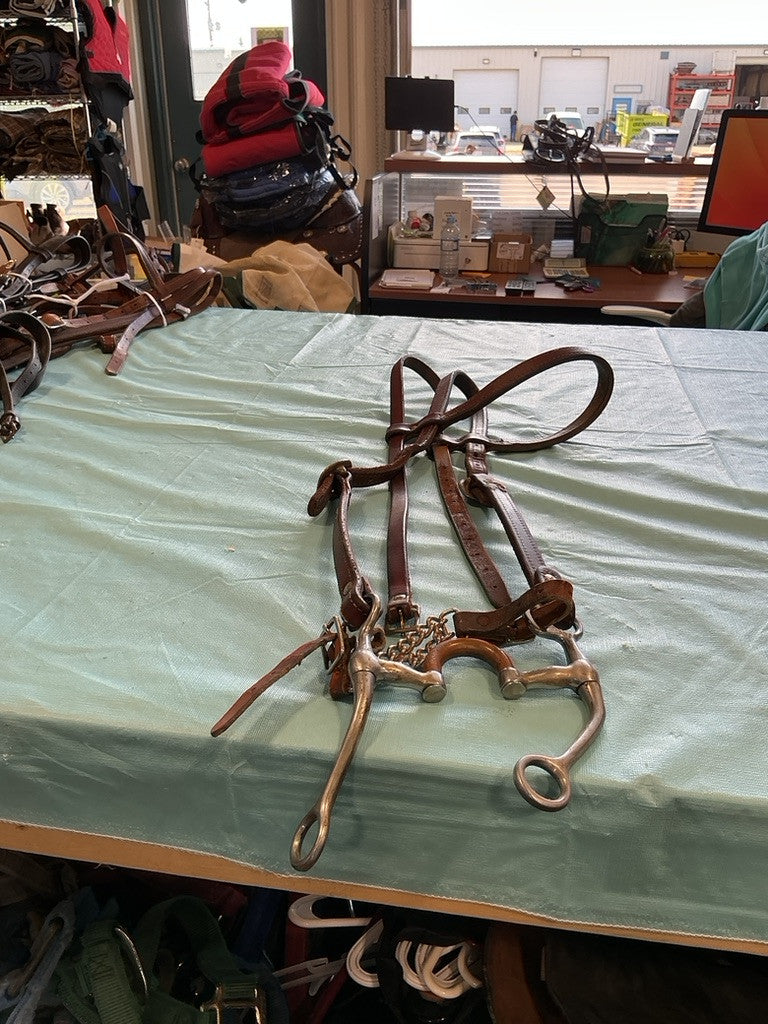 Western Headstall & Correction Bit