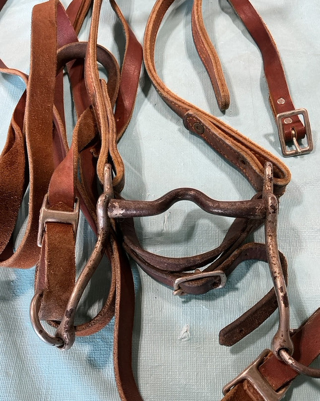 Western Bridle 4" Bit & Reins