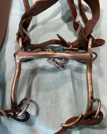 Western Bridle Bit & Reins 