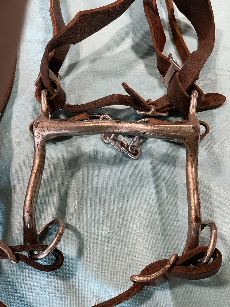 Western Bridle Bit & Reins
