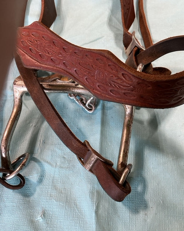 Western Bridle Bit & Reins
