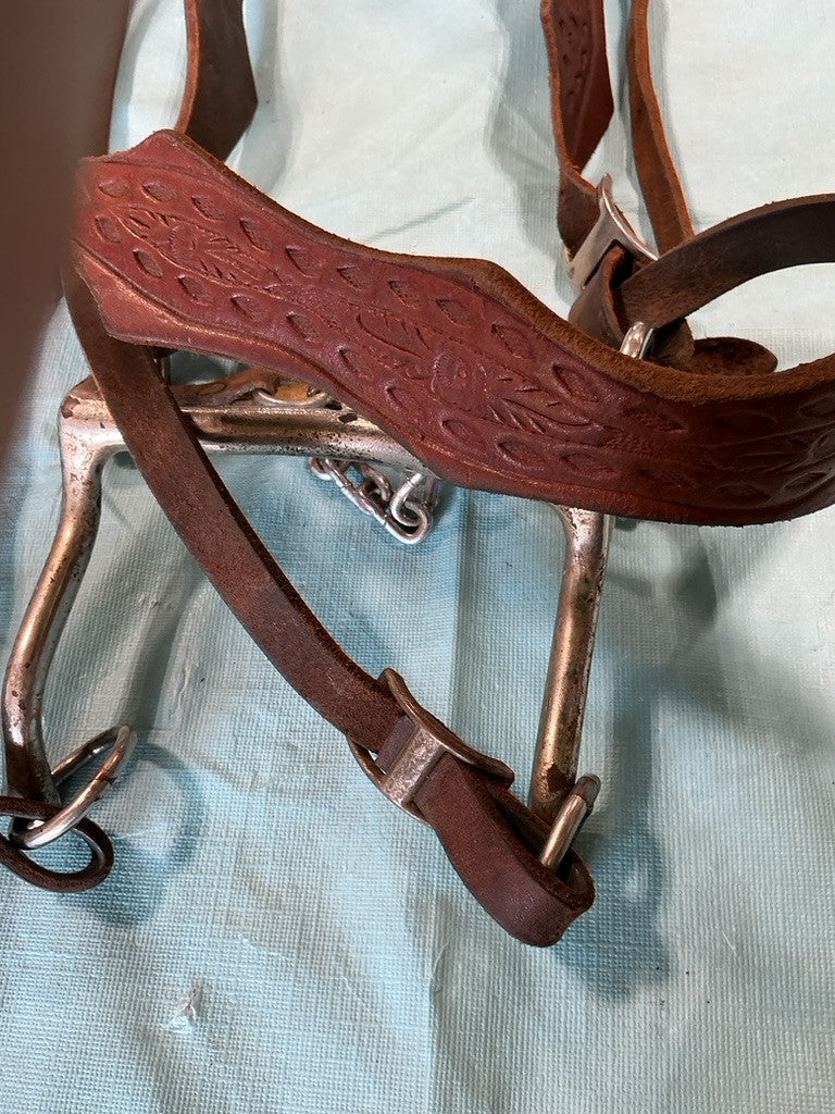 Western Bridle Bit & Reins