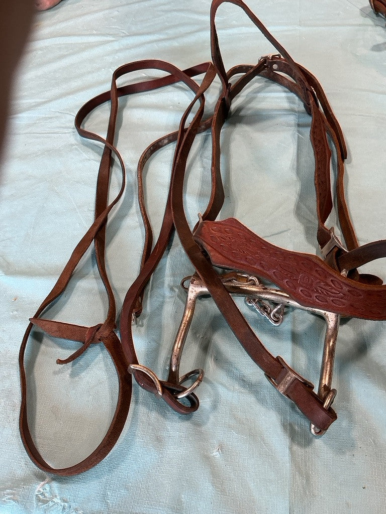 Western Bridle Bit & Reins