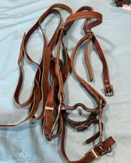Western Bridle 4" Bit & Reins 